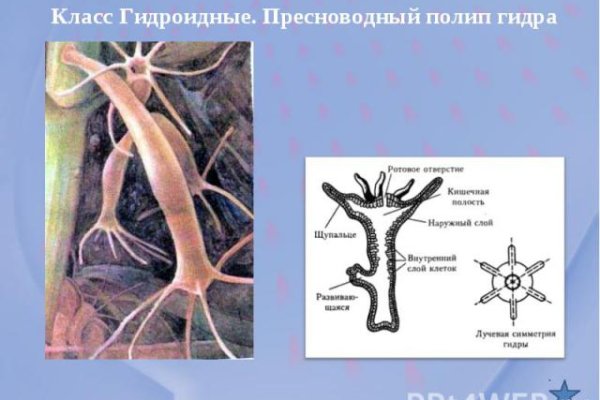 Кракен сайт kr2web in зеркало рабочее